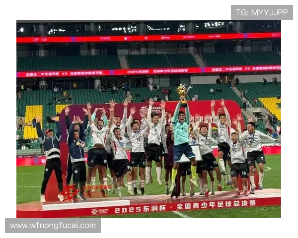 全国锦标赛回顾：成都足球队的技术风采与战术分析